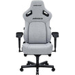 ANDASEAT Kaiser 4 Series Premium Gaming Chair - Large, Ash Grey - Student Computers
