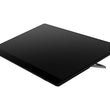 Ricoh 150BW - OLED monitor - Full (1080p) - 15.6