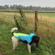 Pet Waterproof Dog Raincoat with Hi Vis Panel adjustable Velcro well made Size Medium
